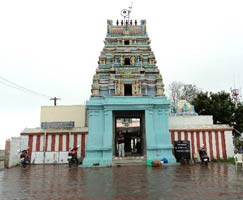 Tamil Nadu Honeymoon
